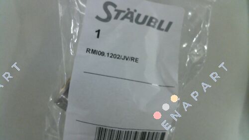 RMI09.1202/RE/JV