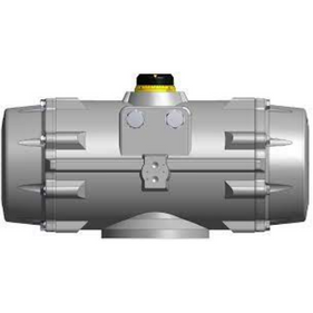 PT1000-S20-M