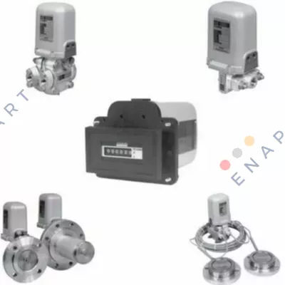 SRD991-BDNS6FAANY-V02 Posicionador inteligente