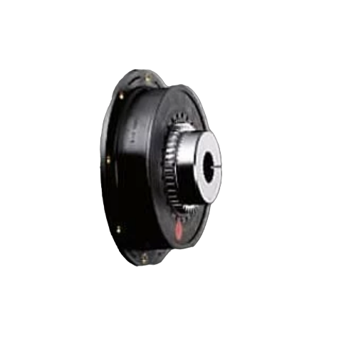 BoWex-ELASTICGG65HE1T40670U
