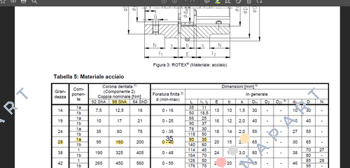 ROTEX-28 St 98 Sh A (D02028001) ACOPLAMIENTO ROTEX 28 ACERO