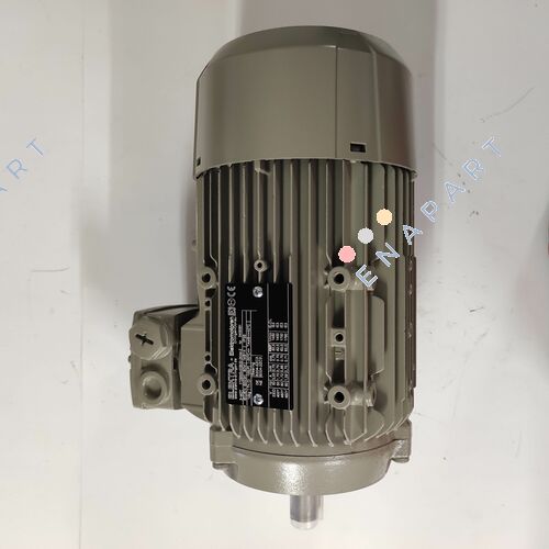 04001000754310000000 motor