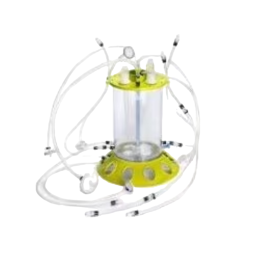 Bioprocessing Cell Culture