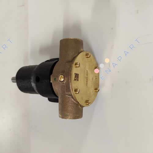 10550-200 Bomba de bronce, montada en el pie, BG 040, puertos roscados BSP de 19 mm (3/4"), NEO