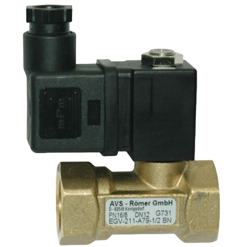 Non return valve